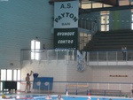 payton_cosenza_002.jpg